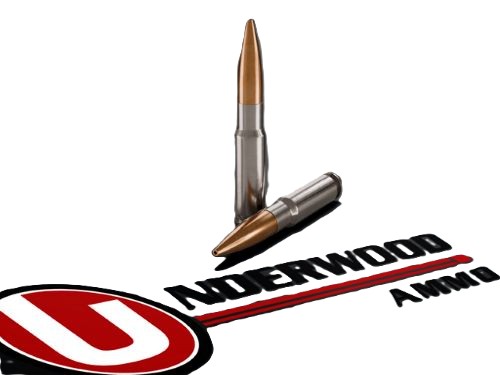 UNDERWOOD 8.6 BLACKOUT 300GR – HPBT 20RD 10BX/CS