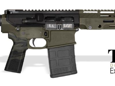 DIAMONDBACK FIREARMS DB10 8.6BLK DUO 12″ BRACE