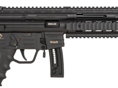 GSG GSGGERGGSG1610 GSG-16 *CA Compliant Full Size 22 LR 10+1 16.25″ Black Black Polymer Receiver Black Collapsible w/Storage Compartment Stock Right Hand