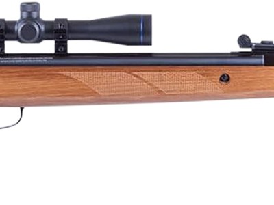 Blue Line Solutions 25003205 Diana Two-Fifty 5.5mm .22 Cal 24 Joule w/Gas Spring Set