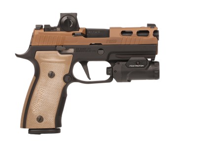 SIG SAUER P320 AXG 2TONE 3.9″ FXTR 21+1#
