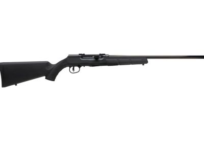 SAV A17 HVY BBL 17HMR SA 10RD