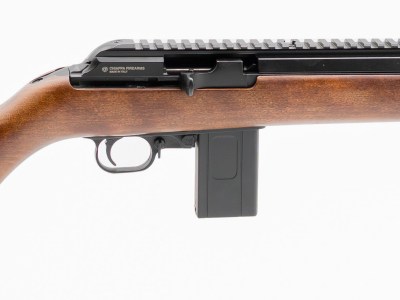 CHIAPPA FIREARMS BUSHRANGER 22LR WD/CF 10RD 16″