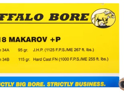 Buffalo Bore Ammunition 34A20 Personal Defense Strictly Business 9x18Makarov +P 95gr Jacket Hollow Point 20 Per Box/12 Case