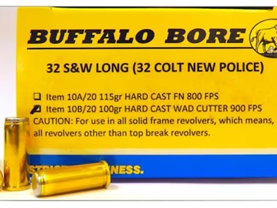 Buffalo Bore Ammunition 26B20 Personal Defense Strictly Business 460S&W Mag 360gr Lead Flat Nose 20 Per Box/12 Case