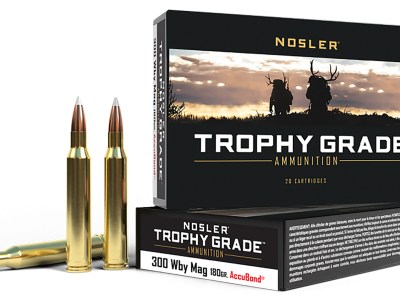 Nosler 48643 Trophy Grade  300WthbyMag 180gr Nosler AccuBond 20 Per Box/10 Case