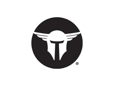 TRAILBLAZER FIREARMS LIFECARD 380ACP BLACK/BLACK