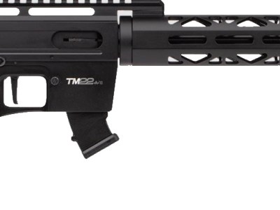 ROCK ISLAND ARMORY TM22 22LR BLK 20″ 10+1       #
