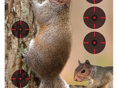 Birchwood Casey 35406 Pregame  Squirrel Paper Hanging Rifle 12″ x 18″ Impact Enhancement 8 Per Pkg