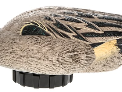 Avian X AVXPSHPNSF Power Shaker  Pintail Surface Feeder Duck Decoy Multi-Color