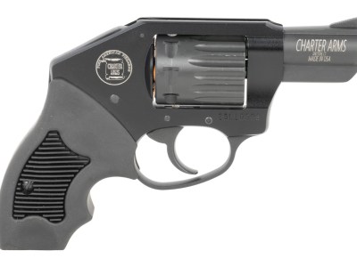 Charter Arms 12311 Walker  22 Mag 8 Shot 2″