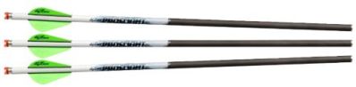 EXCALIBUR ARROW PROFLIGHT – 16.5″ ILLUMINATED 3PK (MICRO)